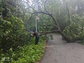 宜秀區楊橋鎮螺山村：風雨無阻保暢通