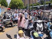 中考首日观察：六安考点送考车辆“变小”，两轮电动车摩托车成主力