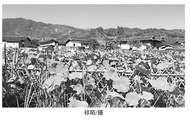 舒敬东：感谢韦庄