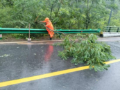 嚴陣以待迎戰強降雨，全力筑牢公路安全防線