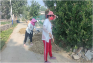 濉溪縣百善鎮：秸稈清理 助力禁燒  