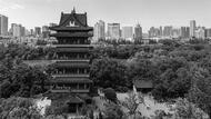 水玉兰：千年包公祠