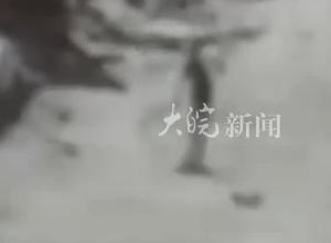 半島電視臺公布視頻！加沙一男子扛著面粉正常行走，遭以軍襲擊當場死亡
