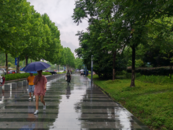 雨帶繼續向南壓 安徽省氣象臺再次變更暴雨預警