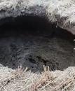 山東菏澤一農田突現大坑被傳有古墓？屬地回應：系老井，無古墓跡象，已回填