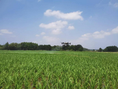 懷寧縣雷埠鄉(xiāng)開展“飛防”作業(yè) 護(hù)航糧食豐收