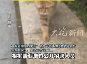 虐貓被處分考生報考事業(yè)編 律師：虐貓不符合“品行良好” 考生 如錄取有違反規(guī)定之嫌
