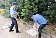 瘋犬傷人  民警當場將其擊斃