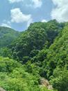 2025全國新興主流媒體巴中行丨 新版《夢境光霧山》大型實景演出震撼開演