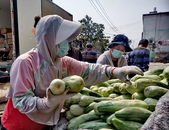 鳳臺縣關店鄉：多措并舉譜寫鄉村振興新篇章