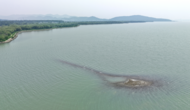 巢湖現天然“微型陸島”！形狀酷似小蝌蚪