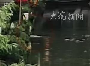 俄羅斯女留學生 旅游時跳河勇救落水老人， 她在中國學習國際漢語教育