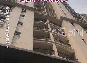 小孩被天降乌龟砸中头部 法院：物业无需担责，饲养人分期赔偿128万