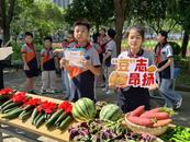 蚌埠一小学田间地头举行散学典礼  西瓜黄瓜等是奖品