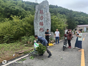 青陽(yáng)縣酉華鎮(zhèn)：桑葉飄金處  鄉(xiāng)村振興時(shí)