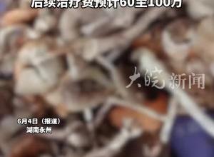 一家6人误食野生菌3人中毒进ICU 最小者仅5岁 已签病危通知书 