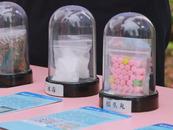 國家禁毒辦發布2024年以來偵破毒品案件十大典型案例