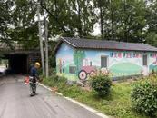 宜秀區五橫鄉楊亭村：長效治理夯根基 文明鄉風繪新景