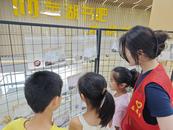 芜湖市益心社会工作发展中心启动“砻”光掠影 物载地名——地名老物件文化推广行动