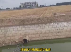 山東一學校被曝向農田水渠排污
當地回應