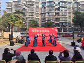 安慶市大觀區集賢路街道高花社區：從“小”處著手做好暖心服務“大”文章