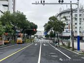 市民反映信号灯被树遮挡 黄山市交警联合园林部门迅速处置