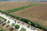 安徽渦陽：農網建設  服務“三夏”農忙用電需求