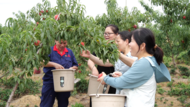 情暖端午｜肥东县妇联招募“爱心妈妈”走访慰问困境学子  