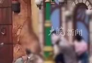 情侶與一家三口迪士尼打架 上海警方通報
