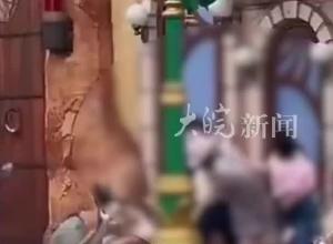 情侶與一家三口迪士尼打架 上海警方通報