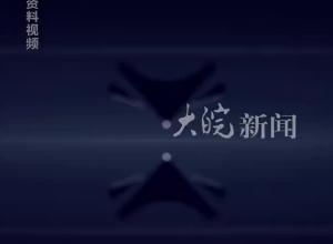 极狐汽车曾邀请 那尔那茜担任品牌大使 回应：合作已经结束
