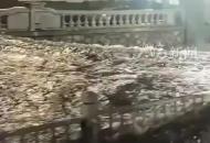 哈爾濱部分地區出現短時強降雨天氣 有街道積水嚴重 路邊停放的車輛被淹