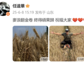 70歲任達華回山東老家收麥子！村民：他干起活來一點不輸年輕人