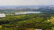 合肥經開區：以“三篇文章”激活公園內生動力