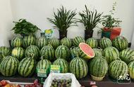 口感及品質不斷提升 池州本地西瓜收獲好評 