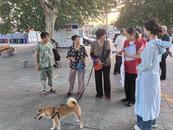 淮北市杜集區(qū)高岳街道開展文明養(yǎng)犬主題宣傳活動(dòng)