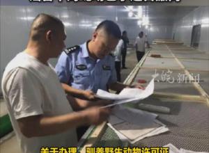 四川一老人被蛇咬傷后 引發“毒蛇跑失”等不實言論  主管部門辟謠