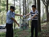 自學技術繁殖野生斑鳩販賣，巢湖一男子牟利千元被抓獲