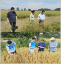 助農下實招 織密防保網 國元保險池州中支積極落實防災減災救災工作