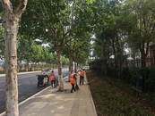 長豐縣崗集鎮：精雕細琢繪就城市精細化管理新畫卷