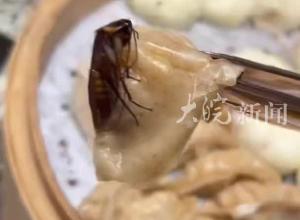 酒店自助早餐现蟑螂 “已经被蒸熟，恶心死了” 市场监管部门介入调查