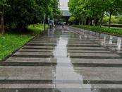 當心！6月20日安徽中北部仍有強降雨