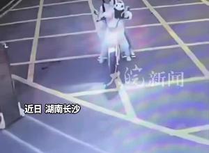 女孩骑车“保龄球式”精准投喂西瓜 消防员:这波操作让我当守门员? 
