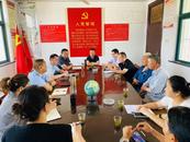  銅陵市義安區天門鎮人大：鎮級代表小組“三環聯動”，繪就民生與產業新畫卷