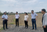 淮南市潘集區“揭榜掛帥”工作穩步推進