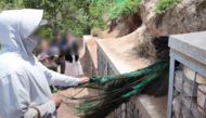男子動(dòng)物園里抓孔雀尾羽  西寧野生動(dòng)物園：獸醫(yī)正給孔雀做檢查