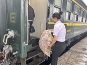 視障旅客乘車去亳州 旅途溫情相伴