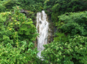 雨后瀑布“復活”！銀屏深山再現壯美飛瀑景觀