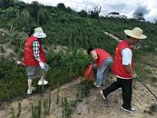 懷寧縣涼亭鄉：凝聚志愿力量 共護碧水清波