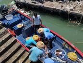 臺風天被卷入大海，父子兩人從海南漂流26小時到廣東